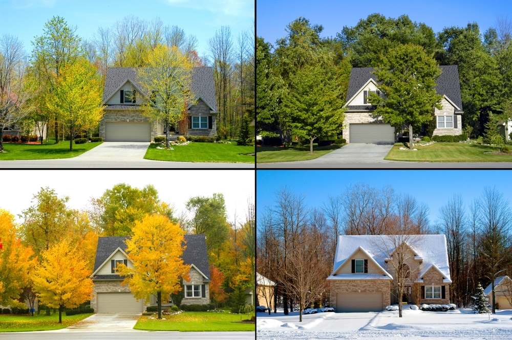 house and lawn through seasons