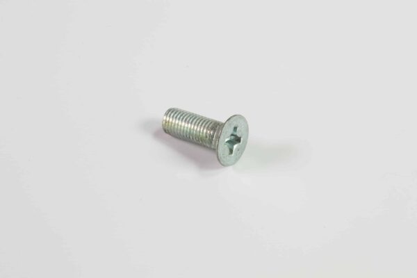 California Trimmer Phillips Head Screw - CT941