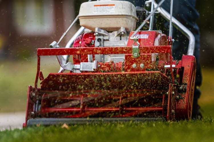 Cutting Reel Mower