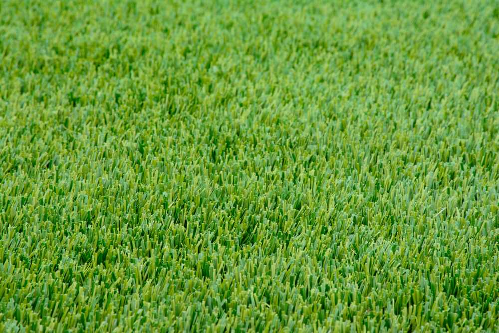 perfectly straight cut grass